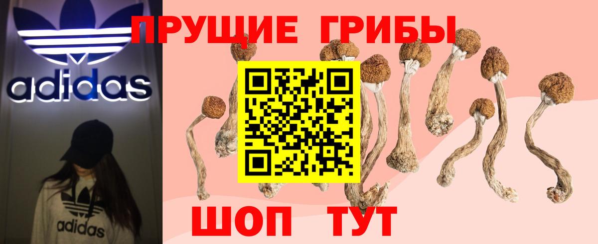 Псилоцибиновые грибы GOLDEN TEACHER Кинель