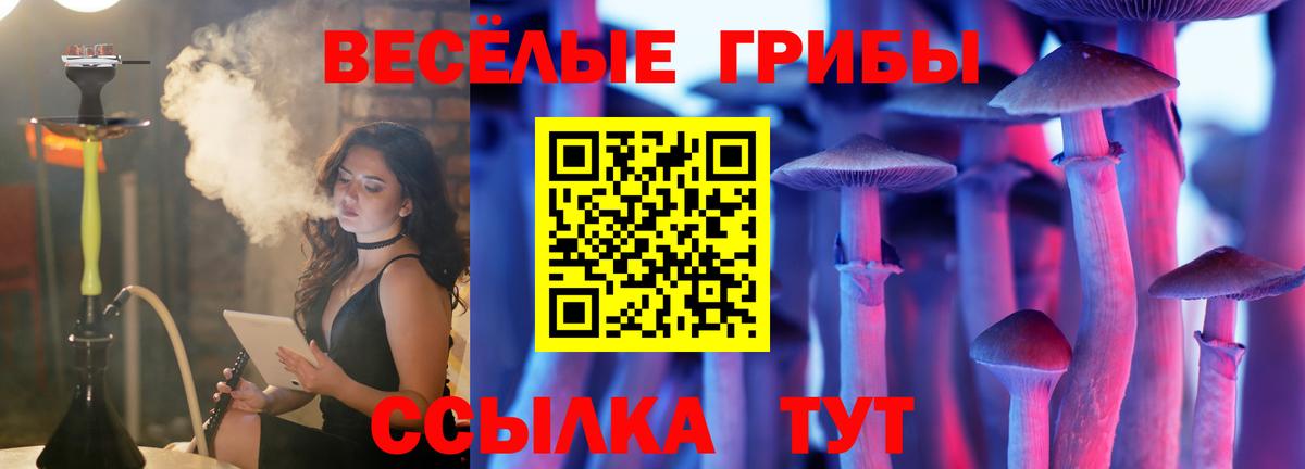 Кинель  Галлюциногенные грибы Magic Shrooms  дарнет шоп  Вход с VPN 